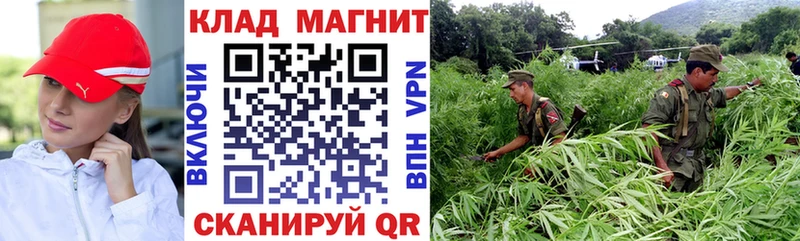 Цена Зея МАРИХУАНА  Амфетамин  Кодеин  Кокаин  МЕФ 
