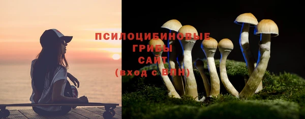 гашик Абдулино
