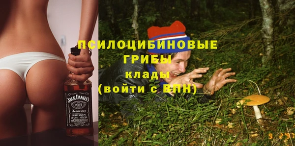 твердый Осташков